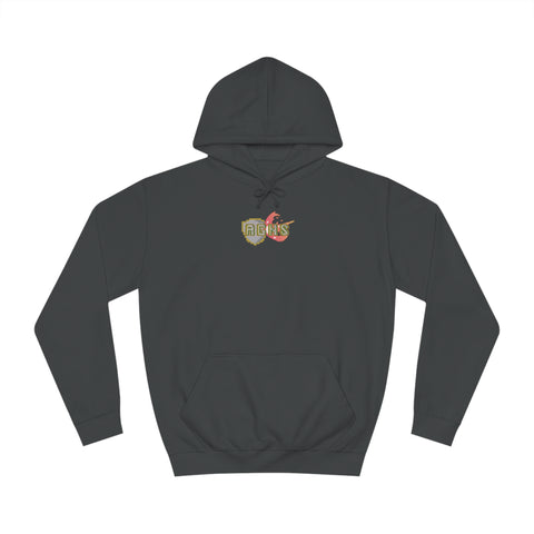 Save The Princess - Unisex College Hoodie