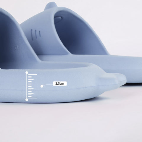 Shark Slides